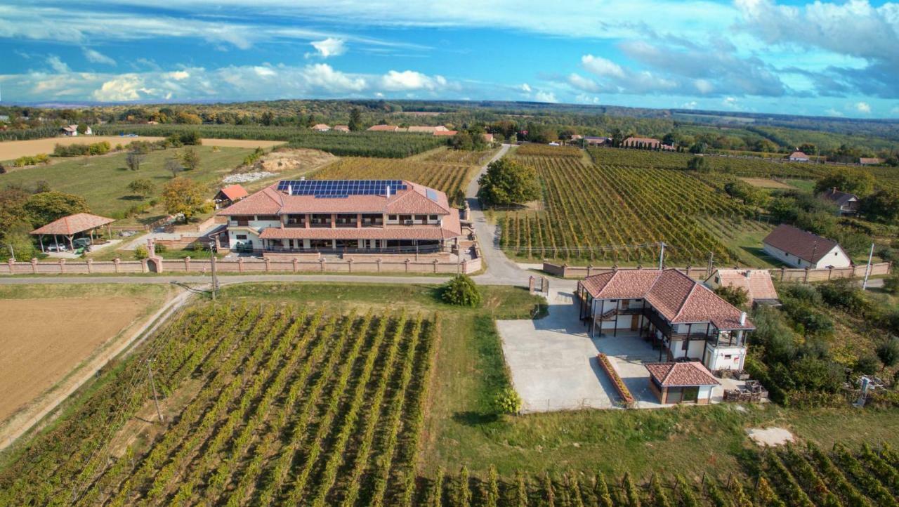 Ebner Pince - Panzio Bed & Breakfast Turbekpuszta Exterior photo